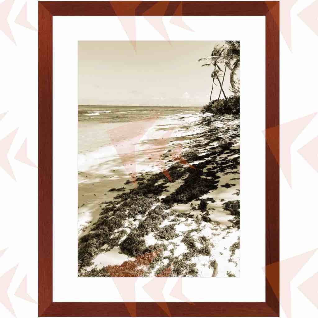 Palm Tree-lined Caribbean Beach Framed Print