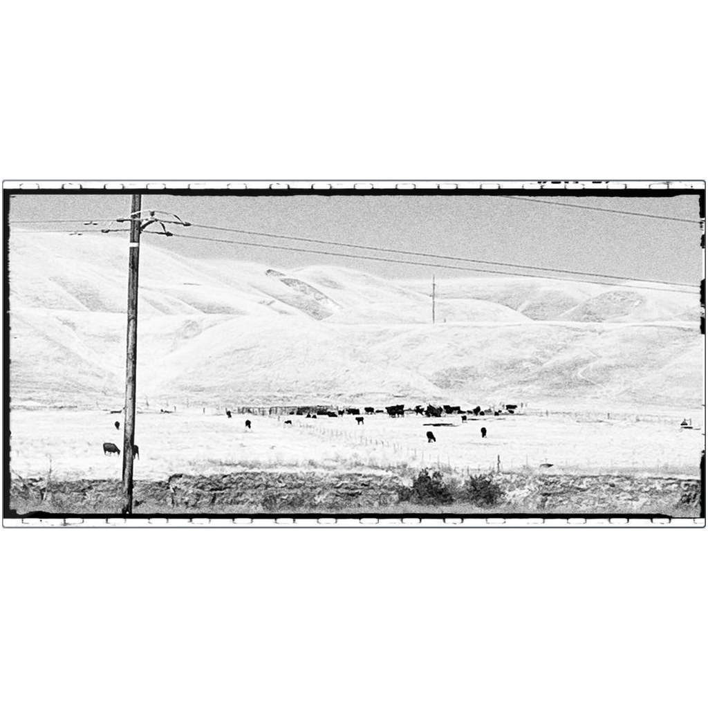 MetalPrint_10x20_Matte_Mount-20240908091630209