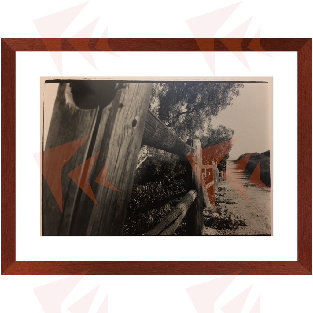 The trail less traveled by… Framed Print 20"x30", 13"x19"