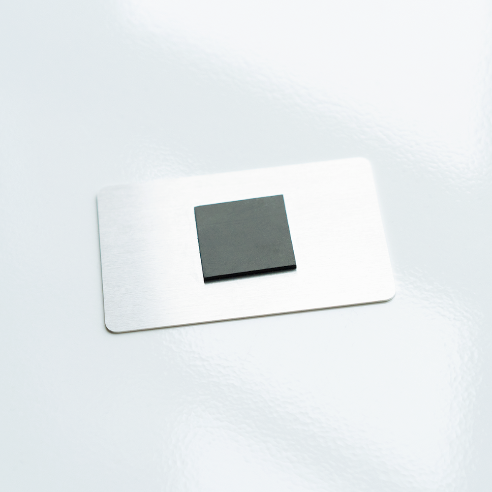 Screaming Wildman Rectangle Magnet - white