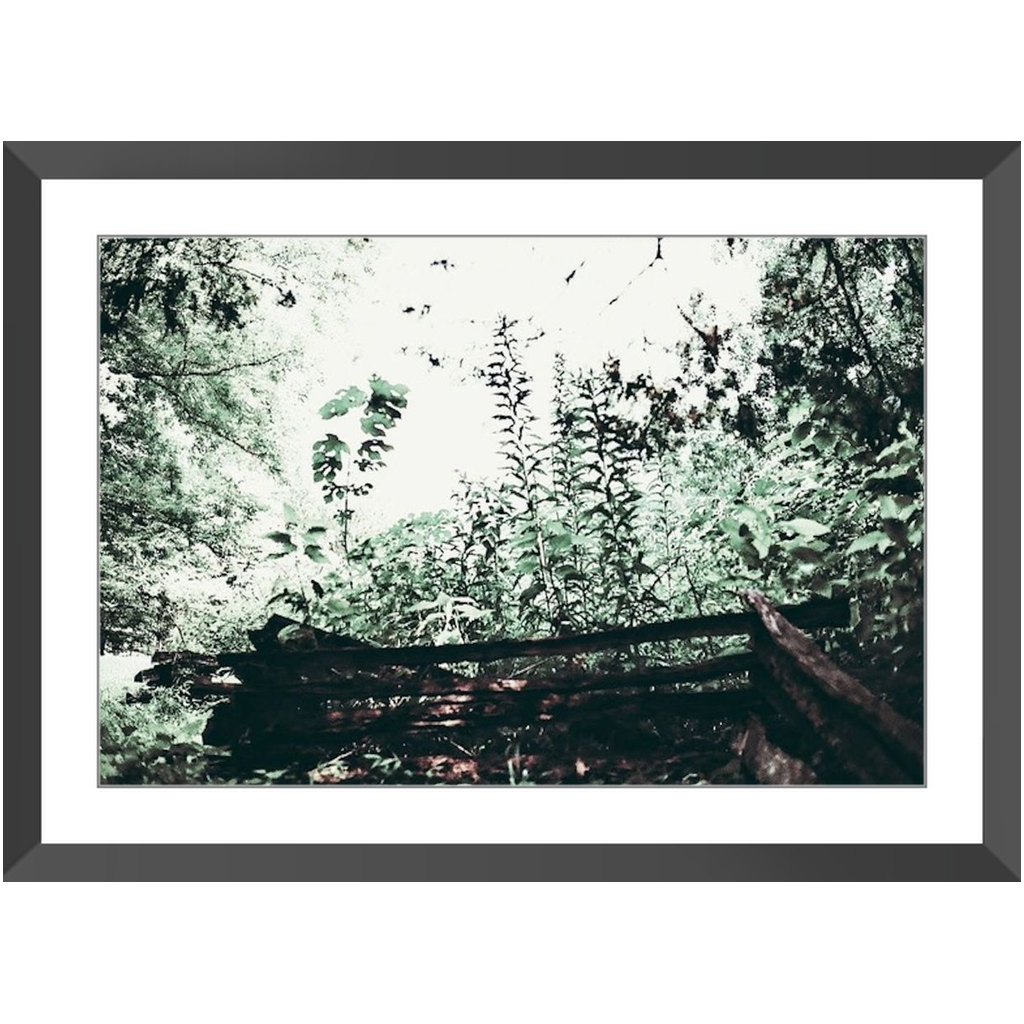 Framed_20x30_Black_Lustre-20260821205955604