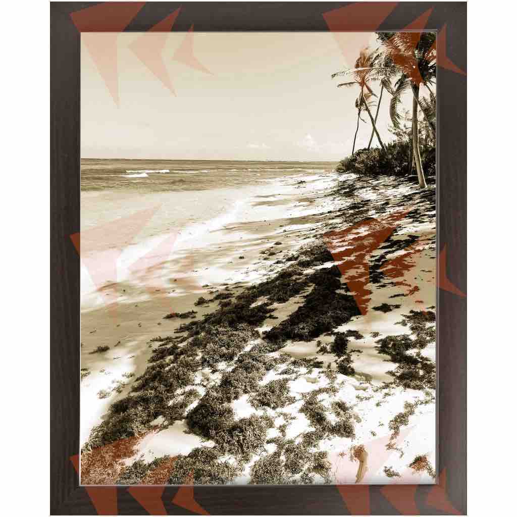 Palm Tree-lined Caribbean Beach Framed Print - 18"x24"; 11"x14"