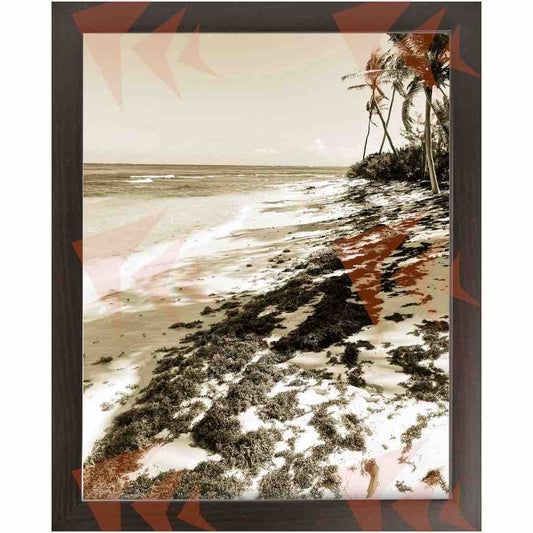 Palm Tree-lined Caribbean Beach Framed Print - 18"x24"; 11"x14"