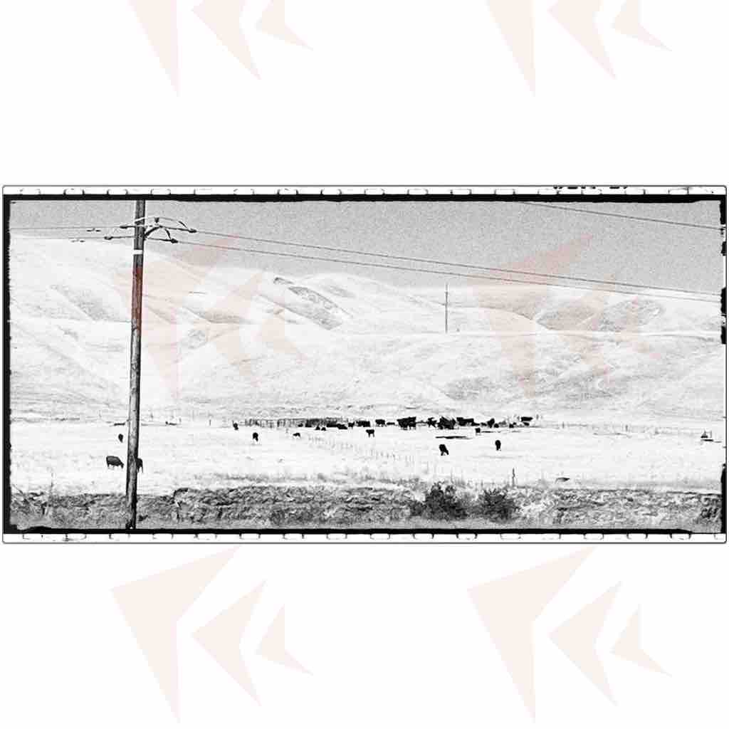 View from the 5 Metal Print - 10"x20"