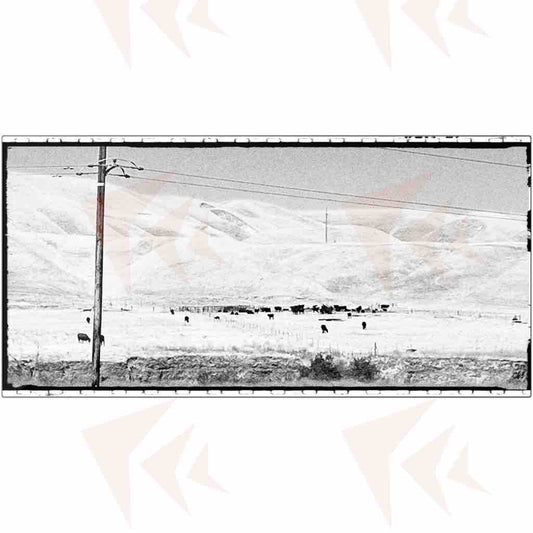 View from the 5 Metal Print - 10"x20"